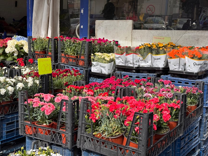 A vibrant outdoor display of potted flowering plants arranged in black plastic crates, featuring pink and red pelargoniums, white and cream kalanchoes, marigolds, and orange chrysanthemum flowers. The